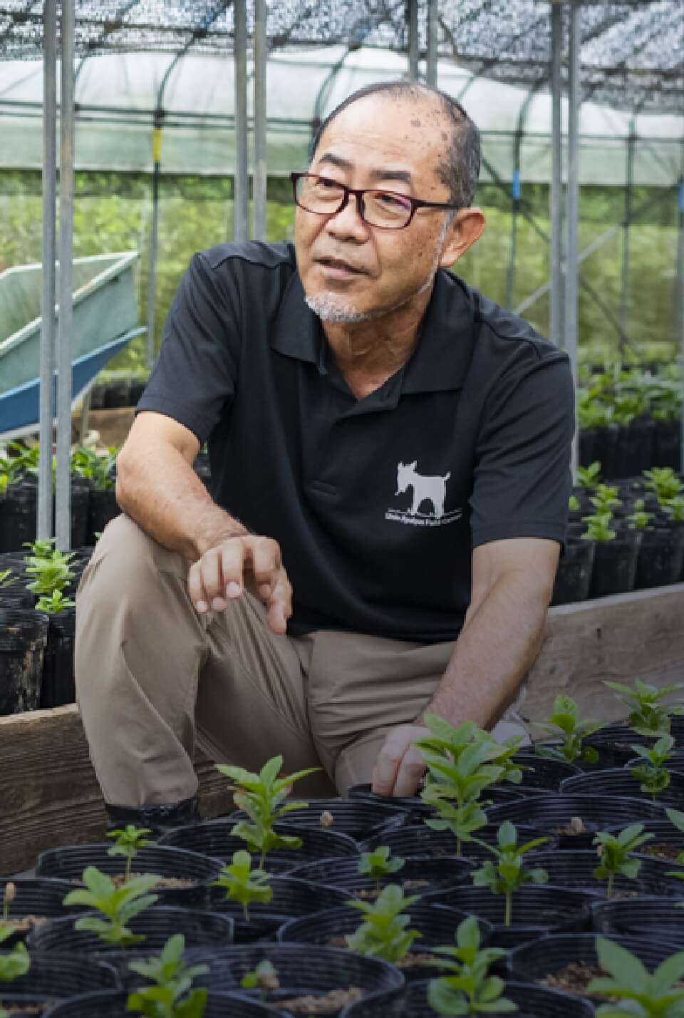 HIKARU AKAMINE